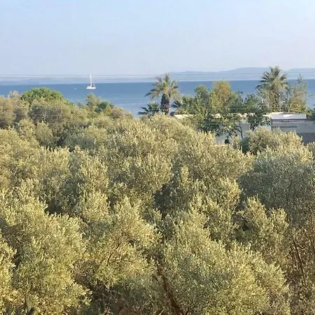 Marti Muğla