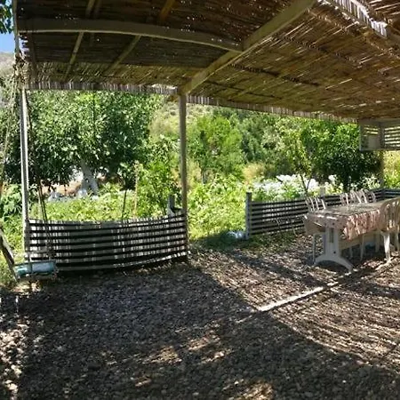 Marti Gazde/Camere de închiriat *