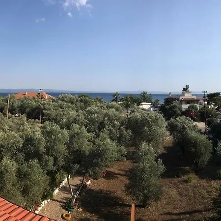 Gazde/Camere de închiriat Marti *