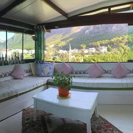 Gazde/Camere de închiriat Marti *